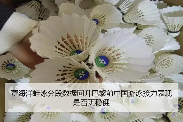 覃海洋蛙泳分段数据回升巴黎前中国游泳接力表现是否更稳健